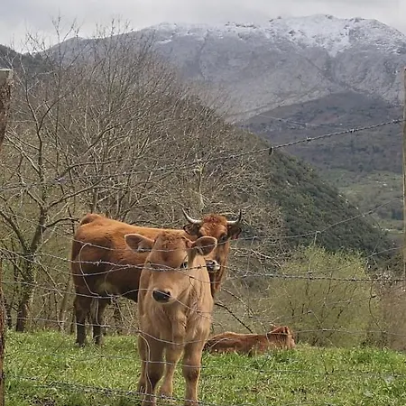 Casa Rural El Cau *
